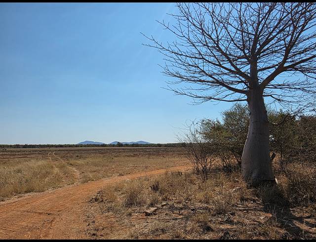 43HA FARM FOR SALE IN MOPANE